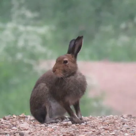 Σπίτι διακοπών Kaebi Homes Ainja