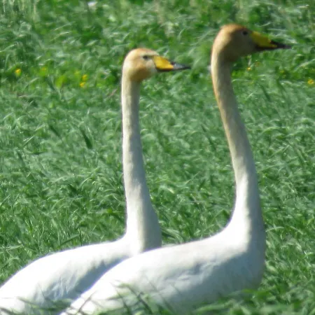 Kaebi Homes Hébergement de vacances