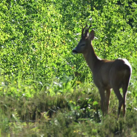 Hébergement de vacances Kaebi Homes