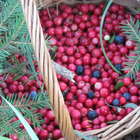 Hébergement de vacances Kaebi Homes *