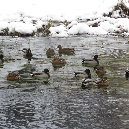 Kabi Holiday Homes Ainja