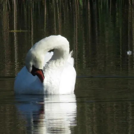 Kabi Holiday Homes * Ainja