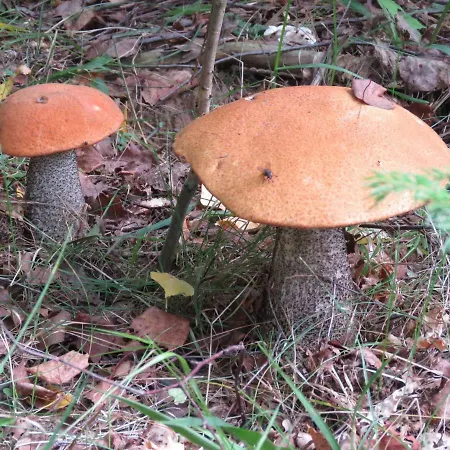 Kaebi Homes Σπίτι διακοπών