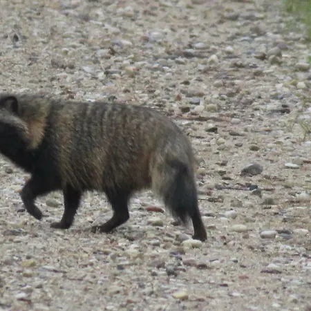 Kaebi Homes 펜션 Ainja