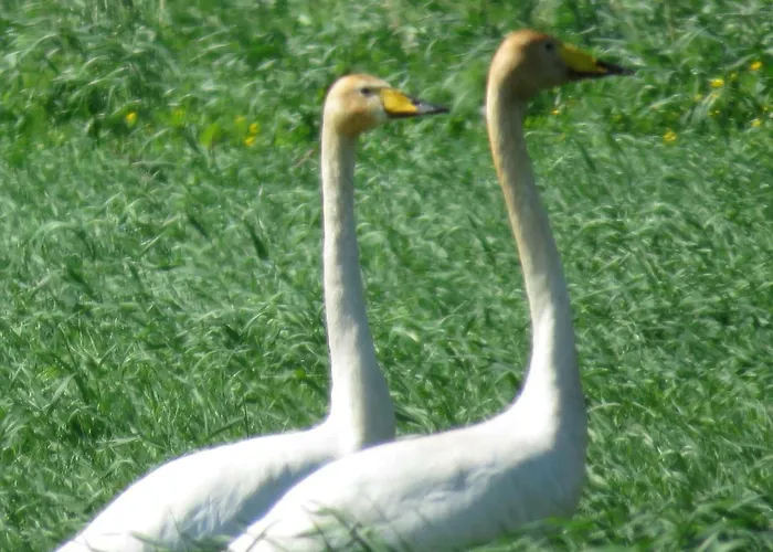 Kaebi Homes Semesterbostad