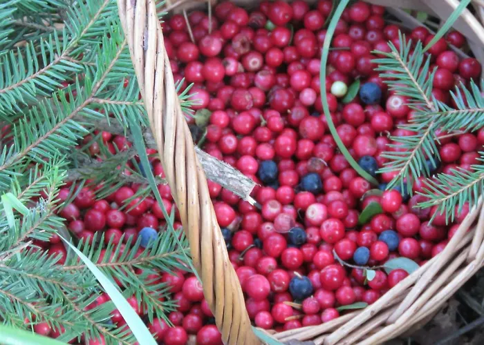 Casa vacanze Kaebi Homes *