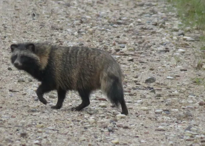 Kaebi Homes Casa vacanze Ainja